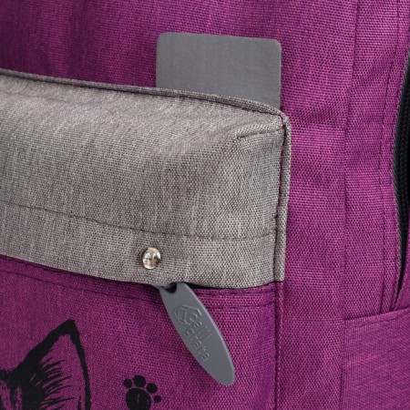 Youth backpack, 38 x 28 x 19 cm, ergonomic back, calligrata e "cat"-13