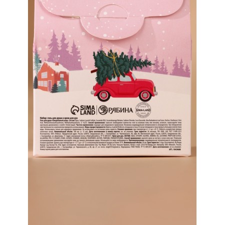 Ural Lab Set of Cozy Year, shower gel 100 ml and hand cream 30 ml-8