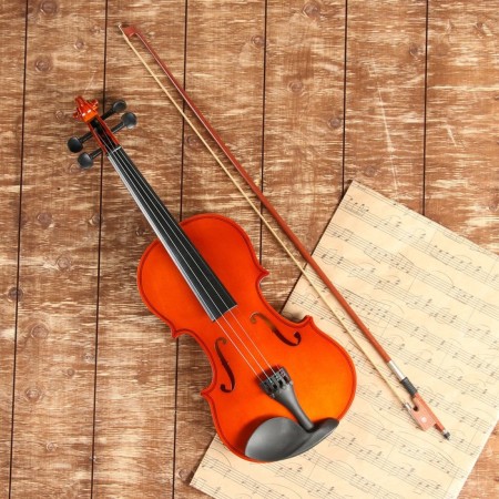 Music Life 4/4 violin, included case and bow-1