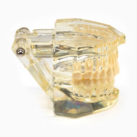 Magist "Jaw" 9*6*7cm-1