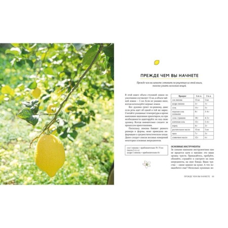 Lemon. Fully. Bright recipes with citrus notes. Shreder D.-1