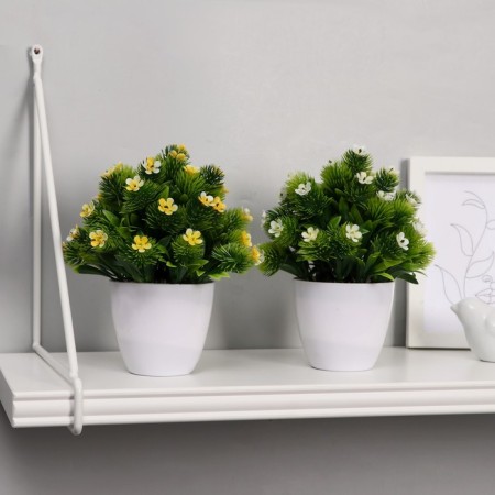 Bonsai in the pot "Fluffy Flower Bush" 8x16 cm, mix-2