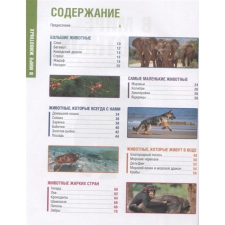 Encyclopedia. In the animal world-5