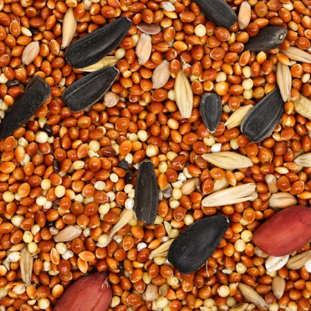 Feed "Eshka" for medium parrots, 500 g-2