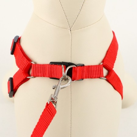 Set "Basis", leash 120 x 1.5 cm, OG 32-46 cm, red-1