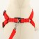 Set "Basis", leash 120 x 1.5 cm, OG 32-46 cm, red