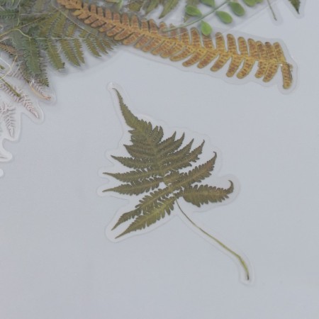 Stickers for creativity "Palm leaves" set 40 pcs 12x9 cm-1