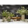 Vase Tkano Edge, 27 cm, flower color