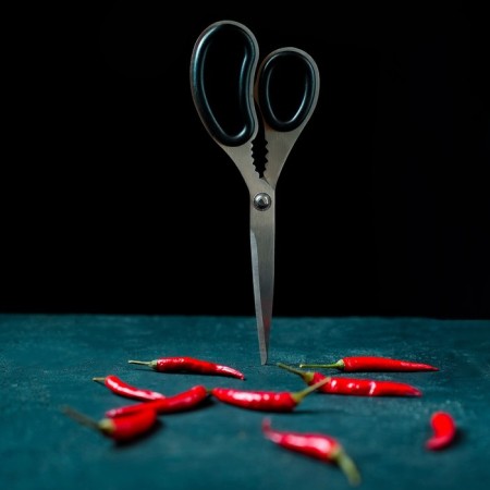 Scissors kitchen shares "Profi", 23 cm, black color-6