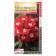 Verben Seeds Quartz "Red with the Eye", hybrid, 5 pcs