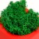 Concrete Kashpo "Player bone" with Moss red with black 7x7x7 cm (moss green stabilizir)
