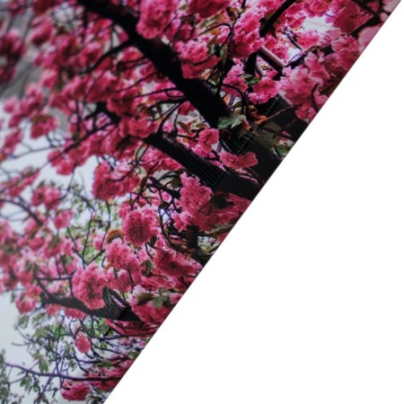 Picture on the canvas "Blooming Sakura in New York" 50*70 cm-1