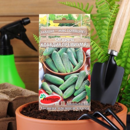 Cucumber seeds Claudia Premium F1, parthenocarpic, 10 pcs.-2