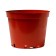 Pot for seedlings, 5 l, d = 22 cm, h = 18 cm, terracotta, Greengo
