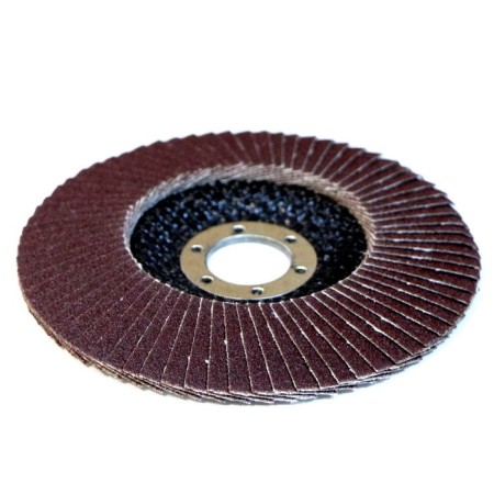 Circle of petal end Abraflex FLD-10, P100, 125 x 22.2 mm-2