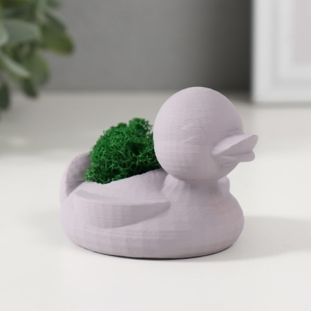 Kashpo concrete "duck" 6x8x5.5 cm gray with moss (moss green stabilized)