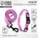 Set "Tenderness", fastener - Fastex, leash 2 m and collar 28-46 cm