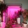 Lamp for plants LED linear, 900 mm Uniel, 14 W, LED, IP65, Color transparent