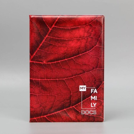 Docs family documents folder, 8 A4 files-4