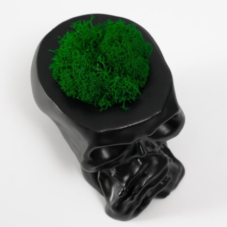 Kashpo concrete "Skull Silence" with moss 6.5x10 cm black (moss green stabilized)-4