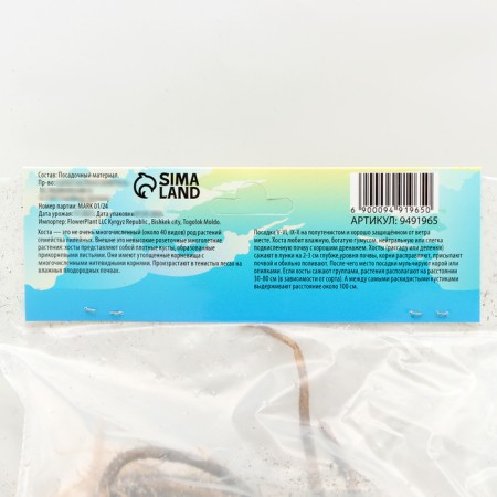 Khosta "Antioch", rr I, size ml, 1 pc, spring 2024-3