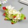 Flowers for decorating "Qinia" 1 bouquet = 6 colors 9 cm cream