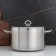 Pan, 11 l, d = 29.5 cm, metal cover, capsule, induction