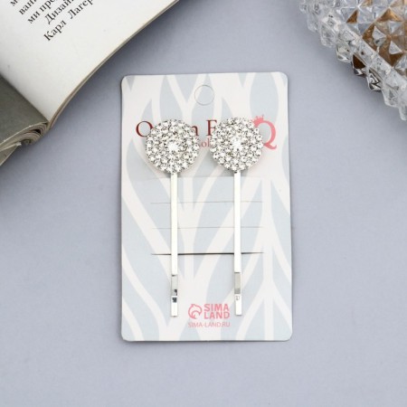 Invisibility for hair "Vivien" (set 2 pcs) circles, 5 cm, silver-1
