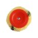 Set male scrap, polyacryl rollers, 100 mm, d = 6 mm, d = 48 mm + d = 16 mm, bath 150 x 290