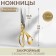 Cliped Premium scissors, mowed blade, 10 ", 25 cm, gold color