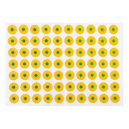Kuznetsov applicator, 70 thorns, film, 23 x 32 cm.-1