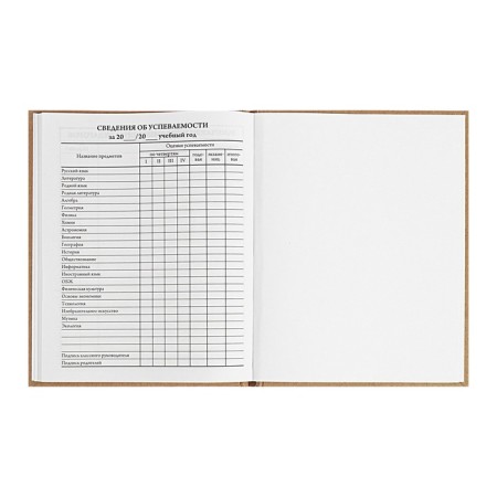 Universal Diary 5-11 classes, 48 ​​sheets "Bear", craft, solid cover, block 65 g/m2-9