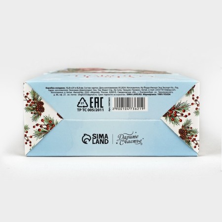 Box of the Magic New Year team 12.3 x 21 x 5.3 cm, New Year-4