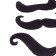 Carnival mustache on a sticky base, set of 3 pcs., Types mix