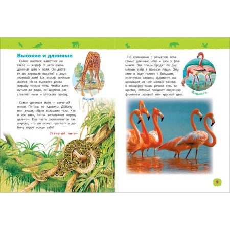 Encyclopedia for kindergarten "Amazing animals"-3