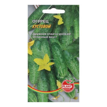Cucumber seeds "Kustova", Early Nespeli, 10 pcs