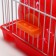 The cage for rodents equipped RT-2Q, 22 x 16 x 20 cm, red