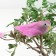 Decor on the clothespin of bird mix set 3pcs 4449370