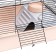 Cage for chinchilla "Pijon" No. 19, collapsible, 58 x 40 x 49, beige