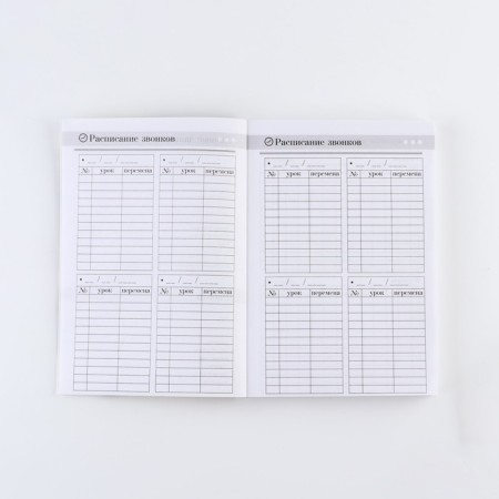 The year of the “best teacher”, A5 format, 160 sheets, soft cover-3