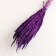 Set of dried flowers "Weinik", banch length 65 (+/- 6 cm), purple