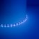 Feron 5 m, IP20, SMD2835, 60 LED/m, 4.8 W/m, 12 V, glow blue, blue