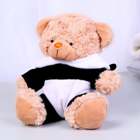 Soft toy "Bear in Panda's costume", 20 cm-1