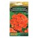Flowers of Polargonia "Rafaella", Orange, F1, 5 pcs
