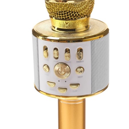 Microphone for karaoke Luazon LZZ-70, WS-868L, 5 W, 1800 mAh, Voice Corr, backlight, golden-2