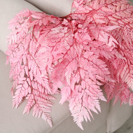 Sukhotzet "Paporotnik", pink, 10 pcs. packaged-1