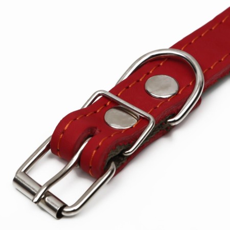 Collar combined leather/tarpaulin, 53 x 2.5 cm, Osh 35-45 cm, red-4