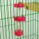Drill for rodents “Mice in cheese” 125 ml, 12.5x4.5 cm, mix of flowers