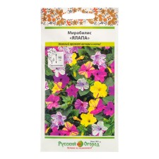 Flowers of Mirabilis 