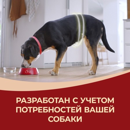 Сухой корм Purinа One medium/maxi для взрослых собак, курица/рис, 10 кг-10